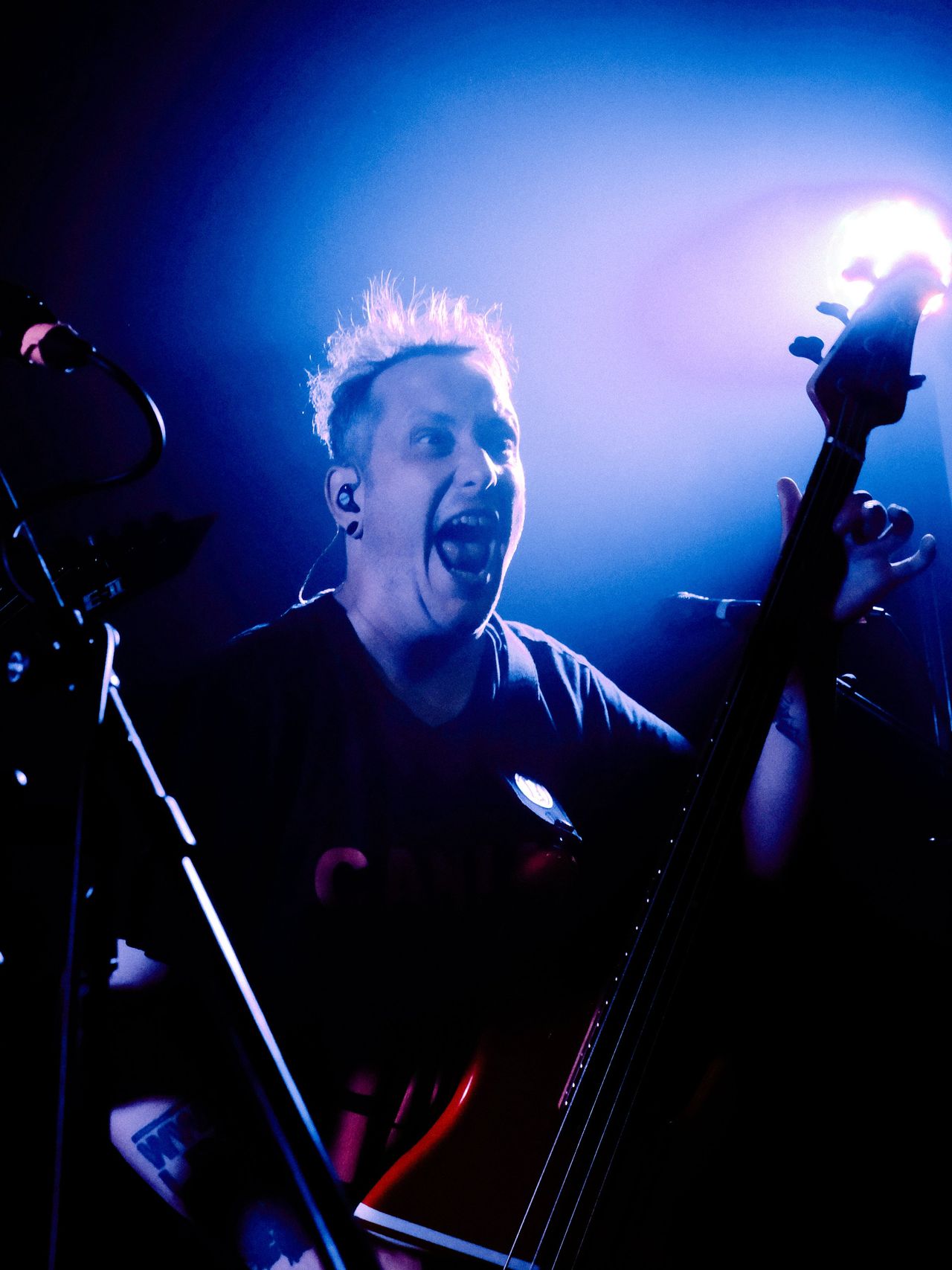 A-Wilhelm-Scream-26.jpg