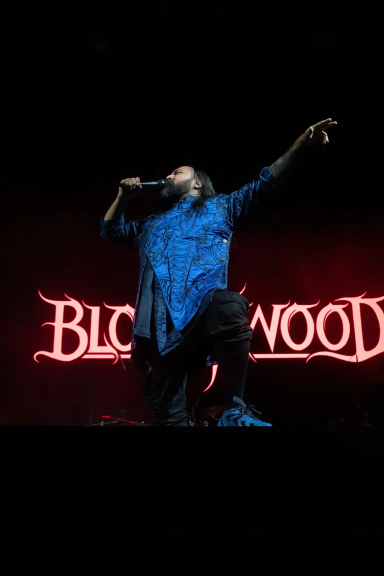 Bloodywood 4.jpg