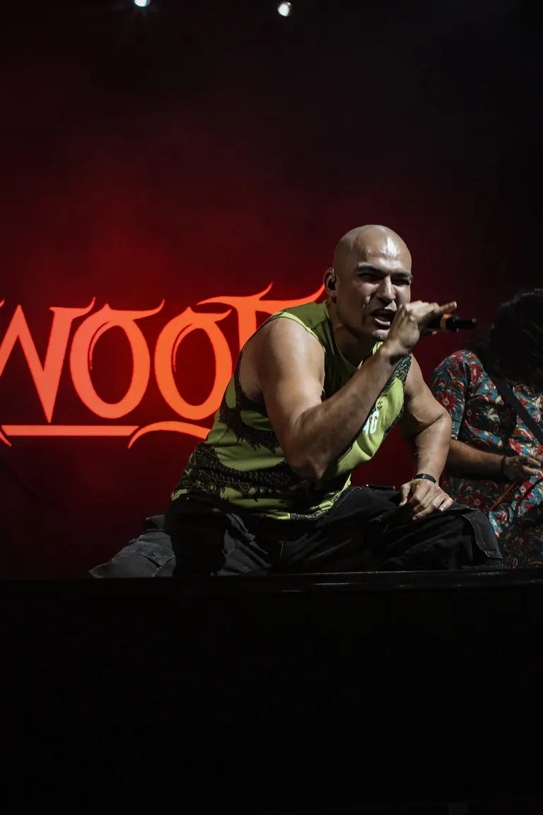 Bloodywood 6.jpg