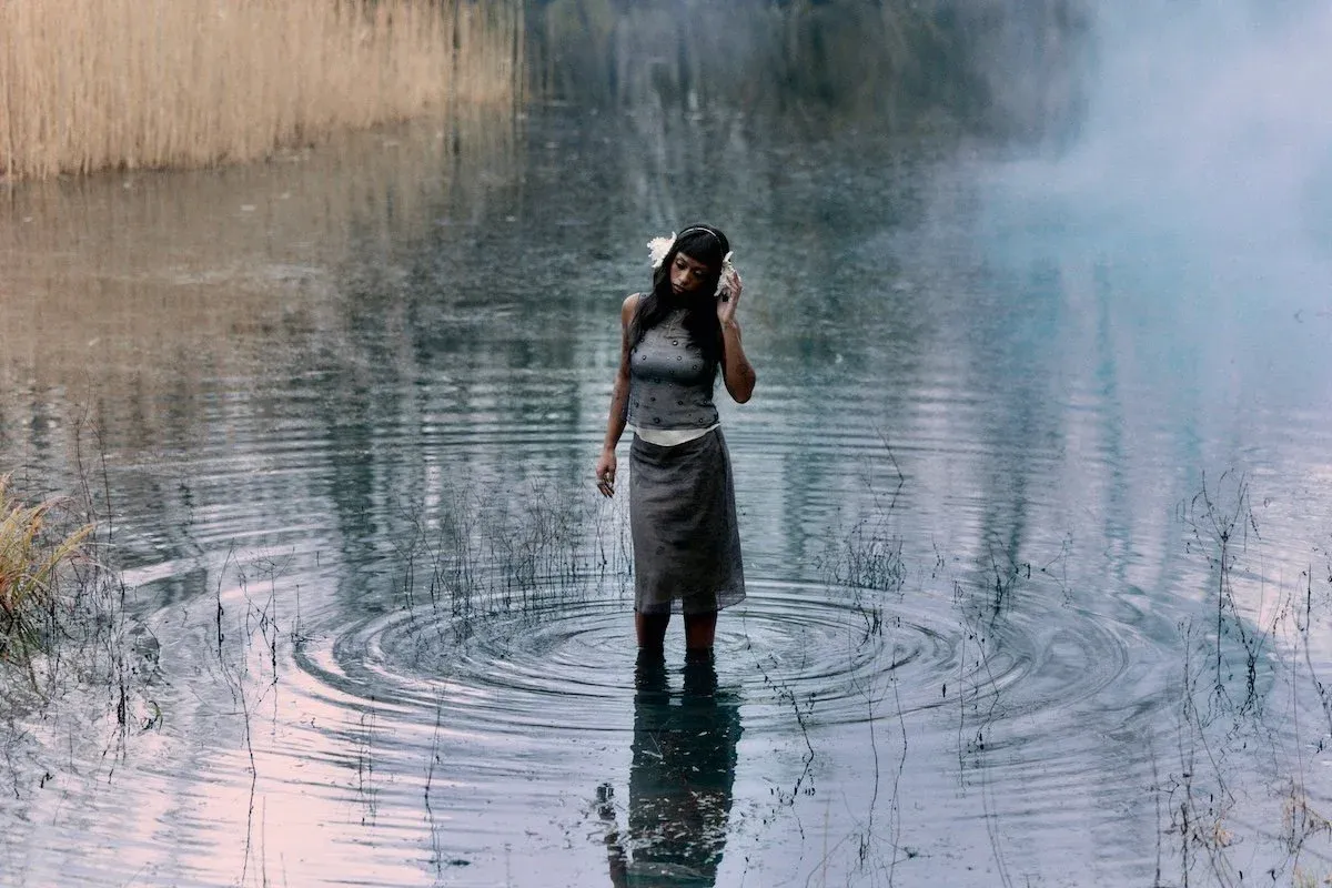 Image Iris Luz
