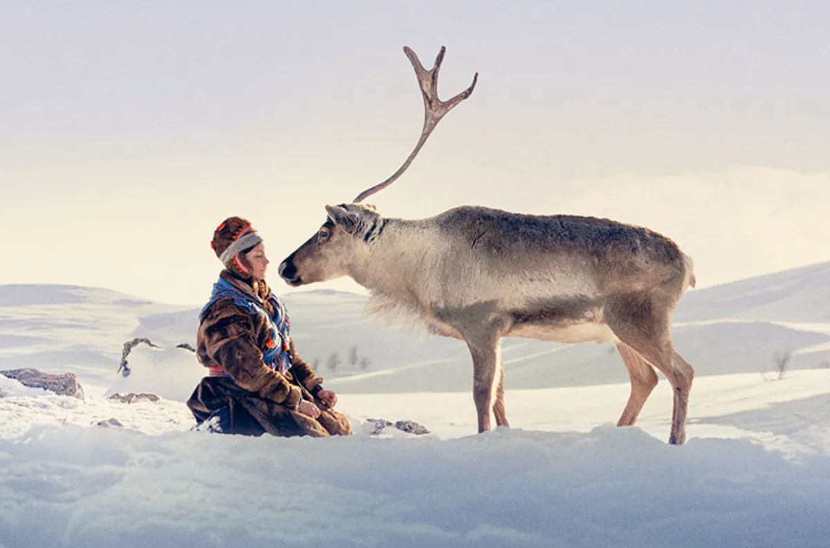 Nordic-Film-Festival.png