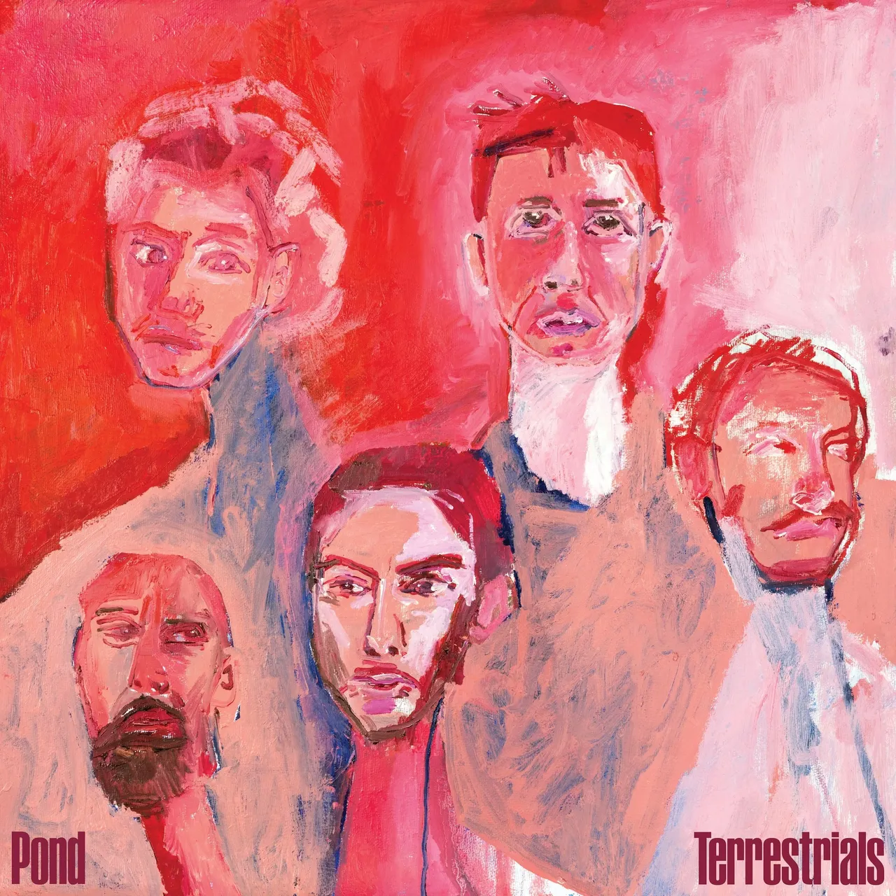 POND-Terrestrials.jpg