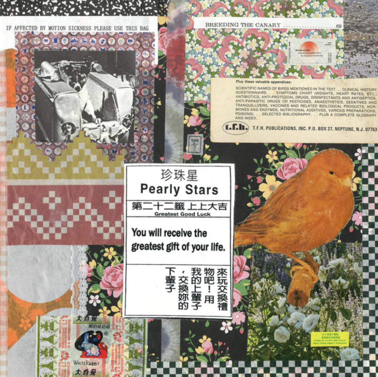 Pearly-Stars.png