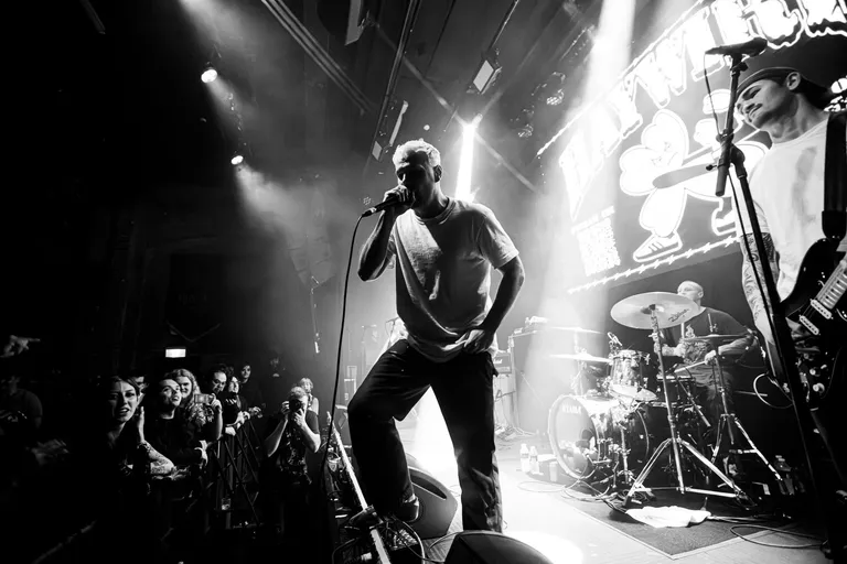 WAYWIRE-7.jpg