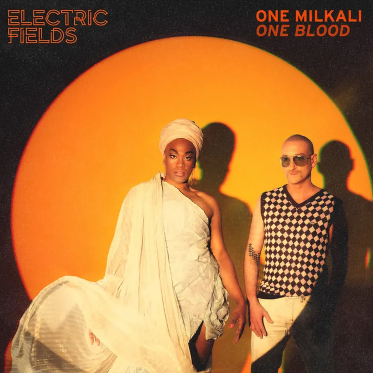 electric-fields.png