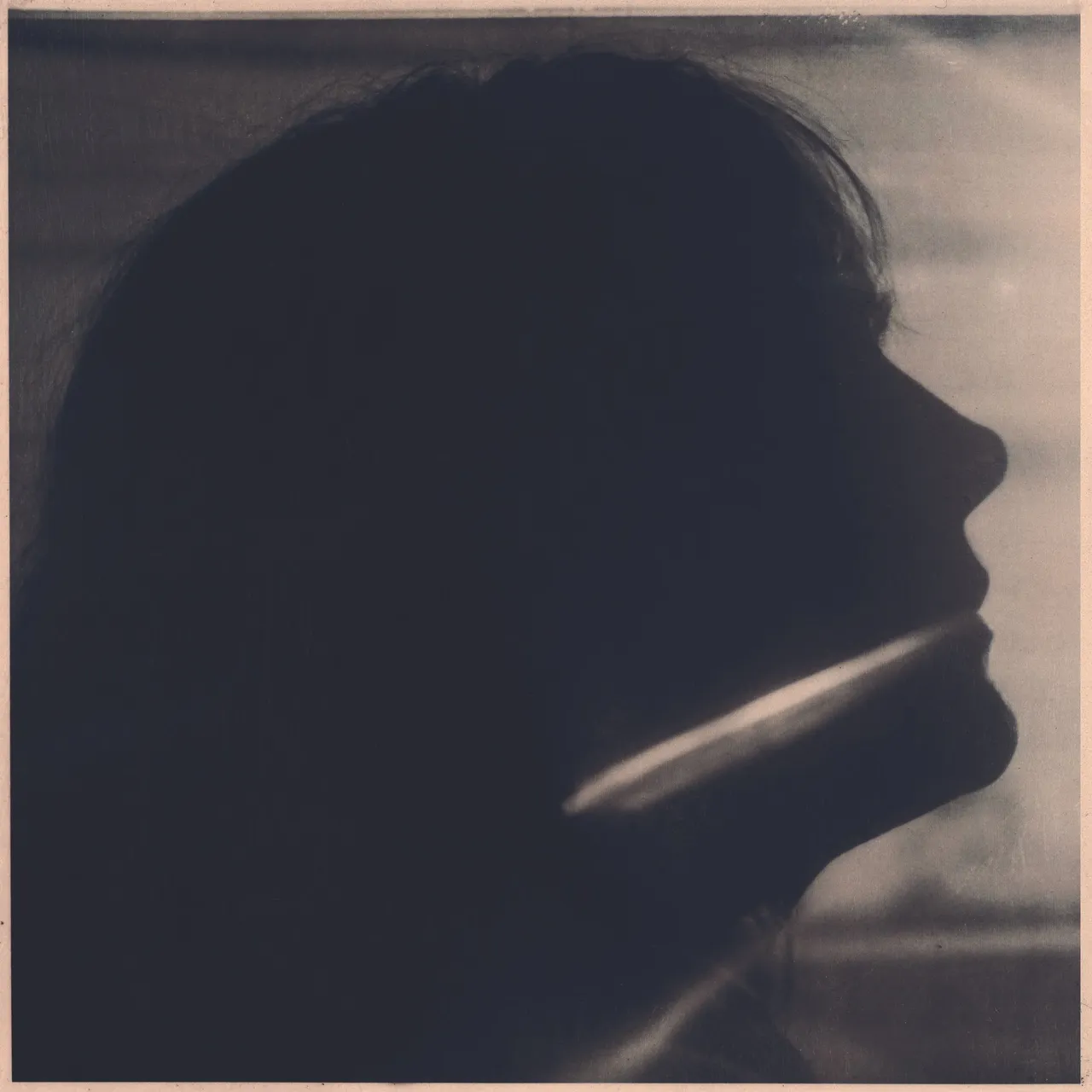 sarah-blasko-i-just-need-to-conquer-this-mountain.jpg