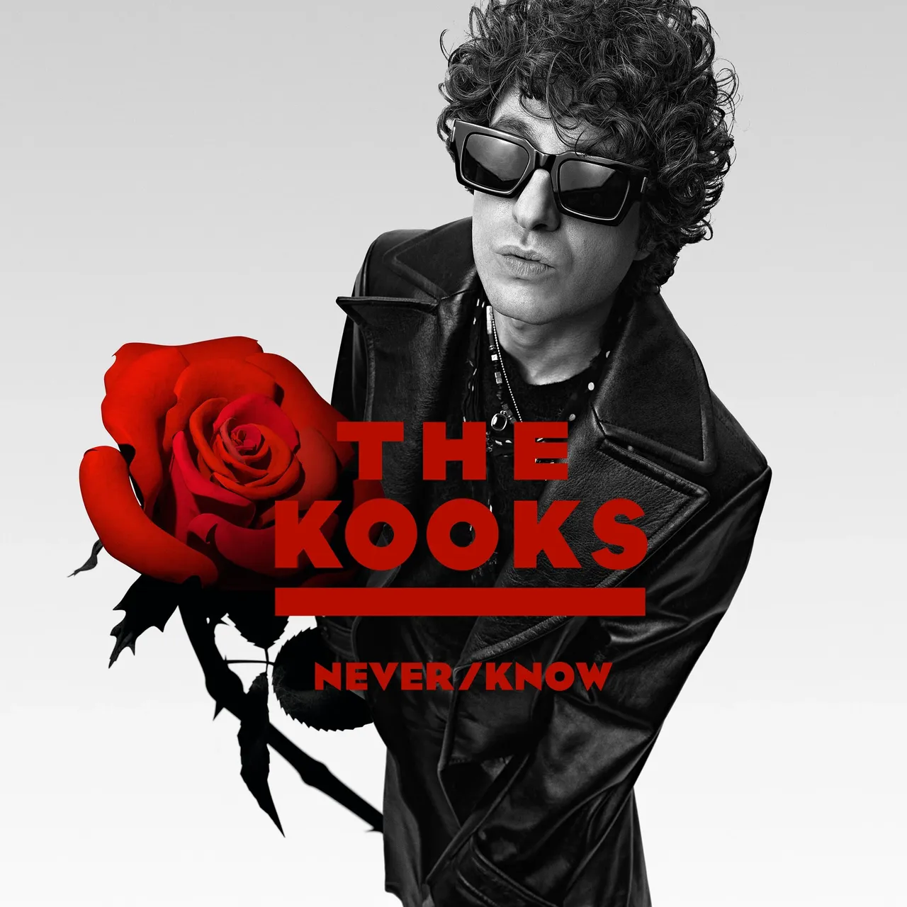 the-kooks-never-know.jpg