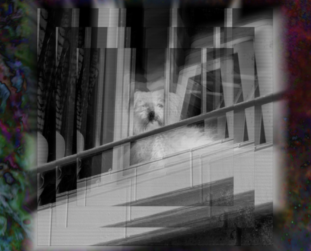 will-everest-bonnie.png
