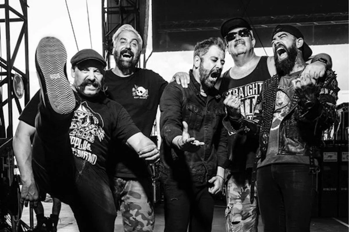 zebrahead.jpg